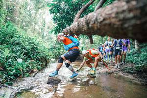 BIB: 
                            <button type="button" onclick="openModal(25373889)" class="btn btn-primary btn-sm float-right btn-popup" data-toggle="modal" data-target=".modal-high-quality">
                        <i class="fas fa-shopping-cart"></i> Add to Cart
                    </button>
                                            <button type="button" onclick="isThisMe(25373889, true)" class="btn btn-success btn-sm float-right btn-popup btn-isme hidden" data-toggle="tooltip" data-placement="bottom" title="นี่คือรูปของคุณใช่ไหม คลิกที่นี่เพื่อเอาเข้าอัลบั้ม">
                        <i class="fas fa-plus"></i> Add to album
                    </button>
                    <button type="button" onclick="isThisMe(25373889, false)" class="btn btn-warning btn-sm float-right btn-popup btn-isnotme hidden">
                        <i class="fas fa-ban"></i> Remove from album
                    </button>